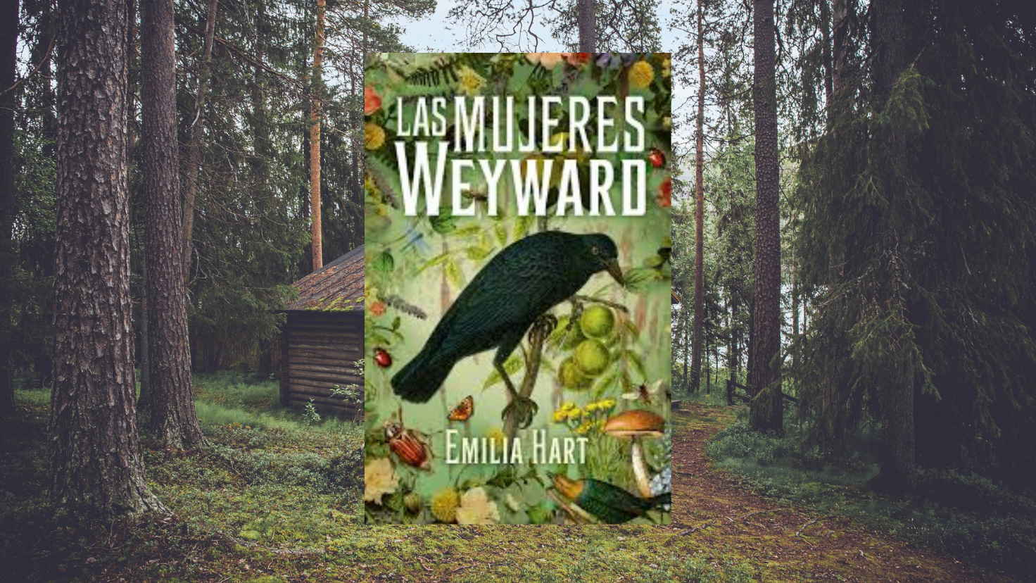 las mujeres weyward